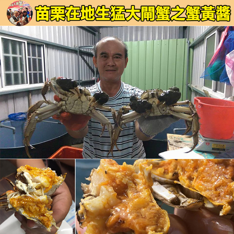 【老字號台灣製作】地道蟹黃醬，精選鮮味拌飯醬