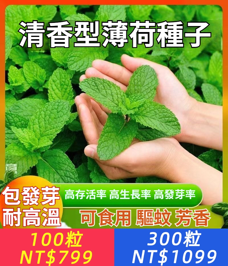 【四季可種，7天發芽，遇土瘋長，可食用/驅蚊/芳香】可食用薄荷種子，高存活率+高生長率+高發芽率+重複采摘