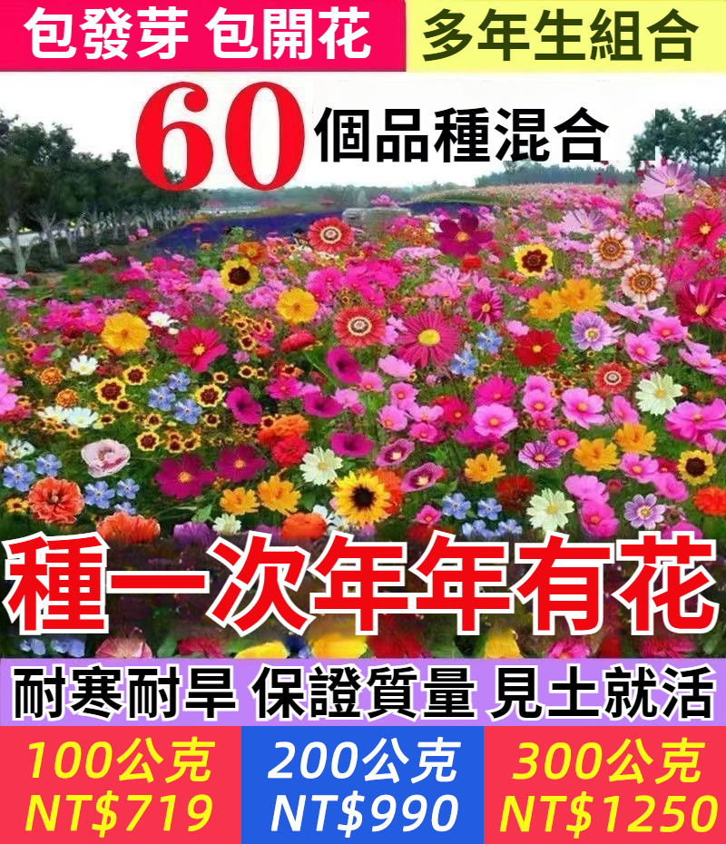 撒一把就能收穫一片花海種子~四季播種，耐寒耐熱，陽台小院成花海