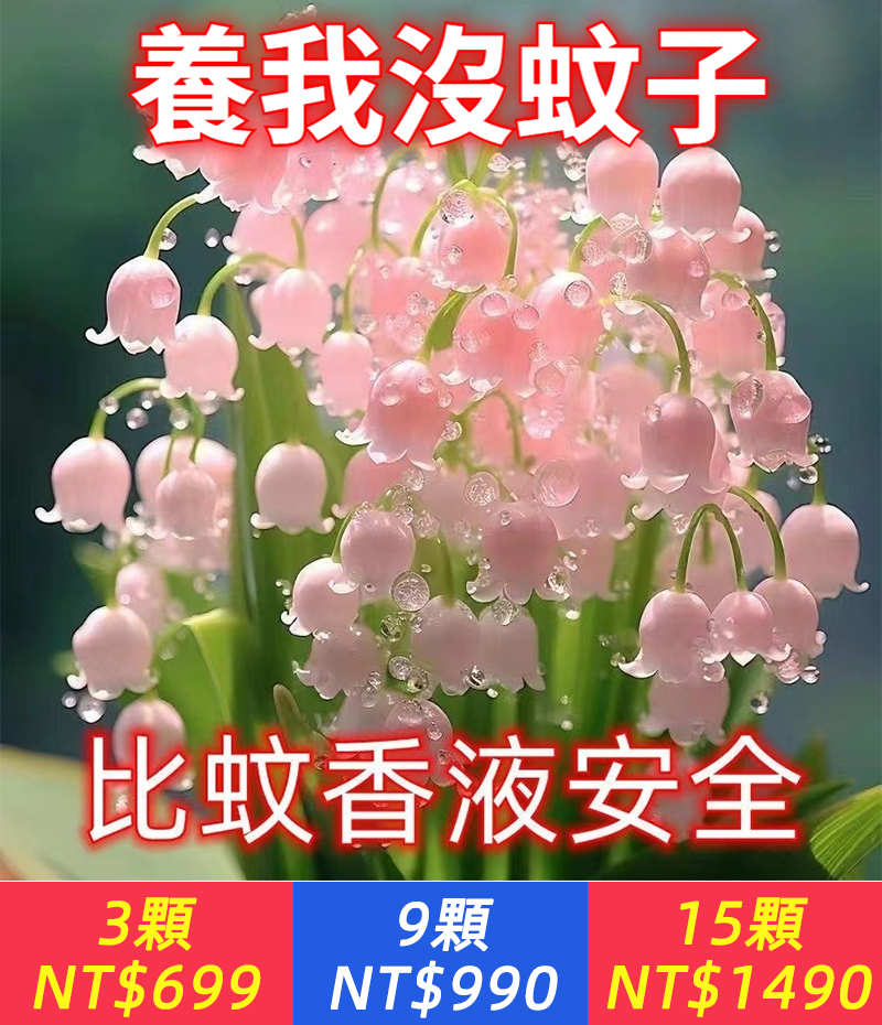 【花中迪奧！ 花開滿屋飄香，自然清新不刺鼻，勝過高檔香水味，防蚊+香薰+景觀，成活率高，無需精心養護，超長花期，新手放心種！】鈴蘭香水花，濃香型，鈴蘭帶芽花苗，耐寒室內新手好養