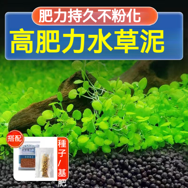 【養魚水草泥 + 水草種子】植物魚缸水槽種籽， 速成水草種子，造景， 養魚水草泥