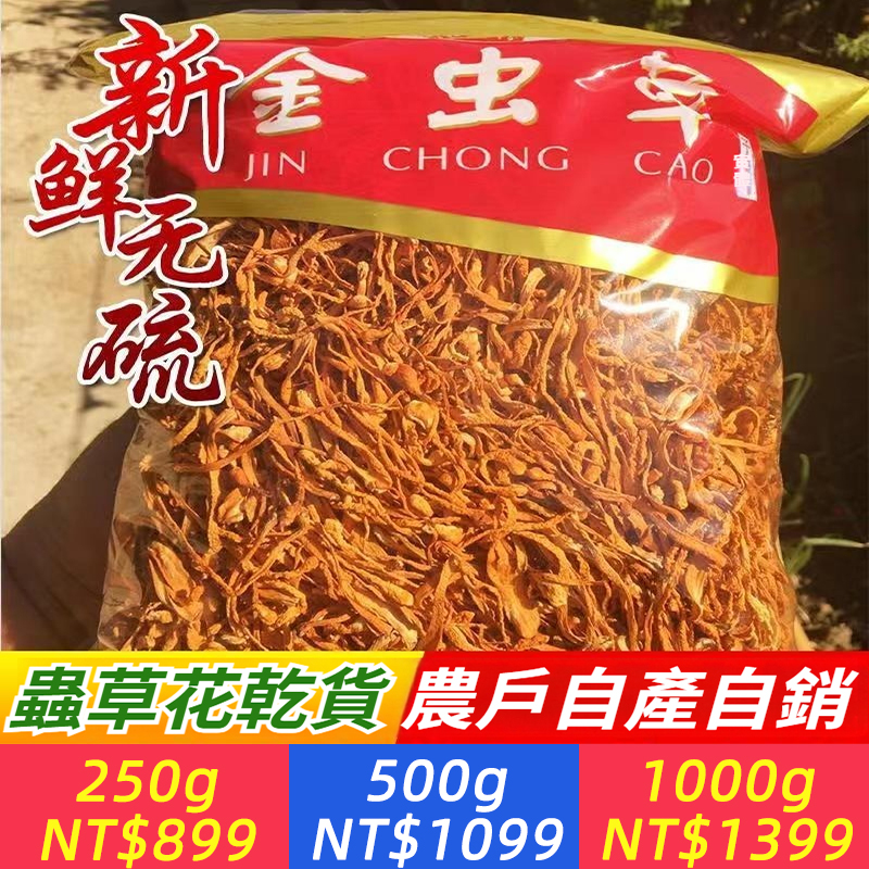 蟲草花乾貨新鮮金蛹北蟲草菇孢子頭農戶批發煲湯食材