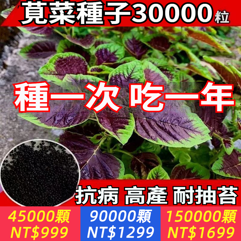 【又被叫做長壽菜，鈣含量比牛奶高，鐵含量超過紅棗 】莧菜種子 ，每次採收都掐最嫩的部位，不管是煮湯、炒菜、做餅都很美味~它種植簡單，隻要撒種子澆水，很快就會髮芽~