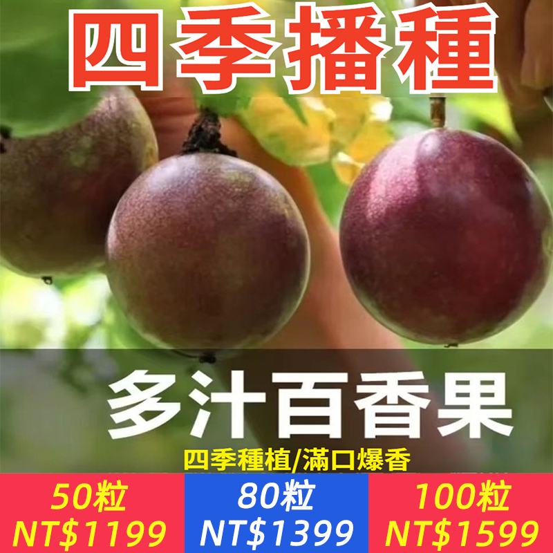 【果肉富含豐富的VC、各種維生素，家裏有陽臺小院、空花盆的都可以種！】盆栽滿天星百香果種子，埋幾顆種子，幾個月就能爬滿墻，酸甜多汁，可以直接吃，也可以DIY果汁~