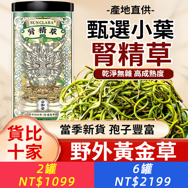 腎精草精選小葉正宗黃金草野外生中草藥材