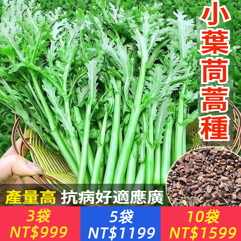 山茼蒿種子、茼蒿種子 山茼蒿 蔬菜種子 蔬果種子