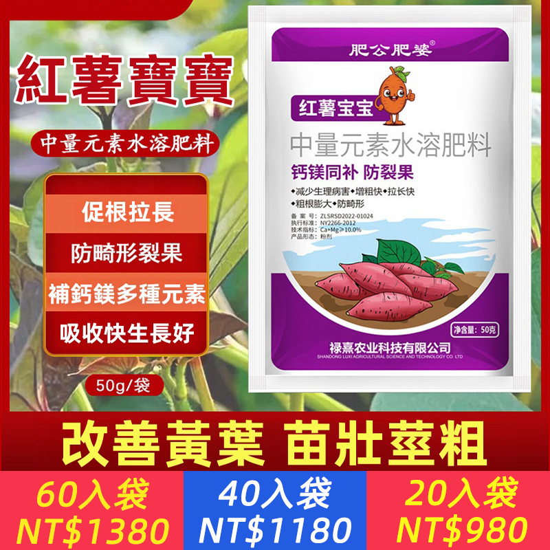 【紅薯寶寶】粗跟膨大防畸形 促根拉長 鈣鎂同補 增產專用