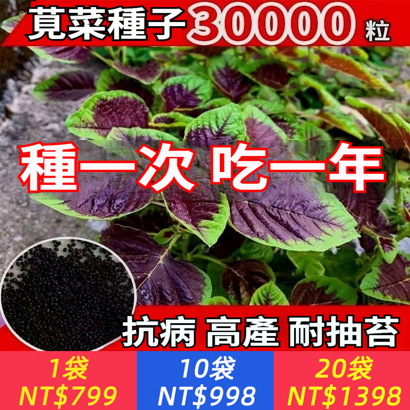 夏季可種【3天發芽，3週開吃，割完又長，種一次吃一年】紅莧菜種子，抗病高產耐熱，有土就活，摘完一茬又一茬，根本吃不完，全台四季可種，不管是煮湯還是炒菜，軟糯爽滑，肉厚味美，真是太好吃了，最適合夏天吃的菜！