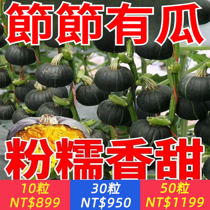 比板栗粉糯，比地瓜香甜，30天結果！【四色貝貝南瓜種子】簡單易種，早熟高產，節節有瓜，粉糯香甜，根本摘不完，庭院陽臺花盆隨便種，在家實現南瓜自由！