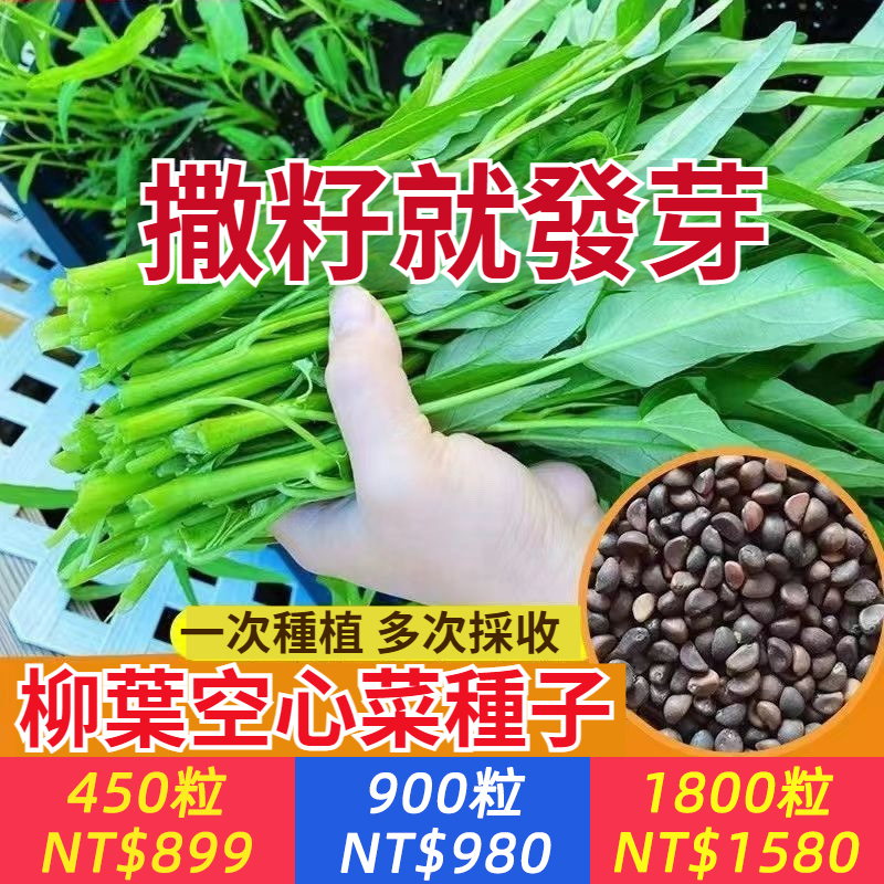 改良品種【柳葉空心菜種子】撒籽就發芽，15-20天采收，一次種植，多茬采收，四季種植，早熟抗性強，耐熱耐濕，撒籽就長，溫度越高，生長越旺，新手小白都能種好！