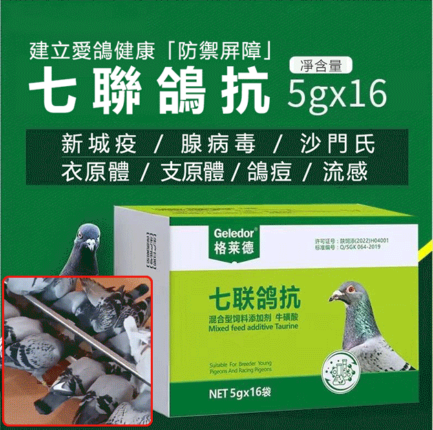 格萊德鴿子藥七聯鴿抗信賽鴿新城疫腺病毒沙門氏衣支原體鴿痘流感