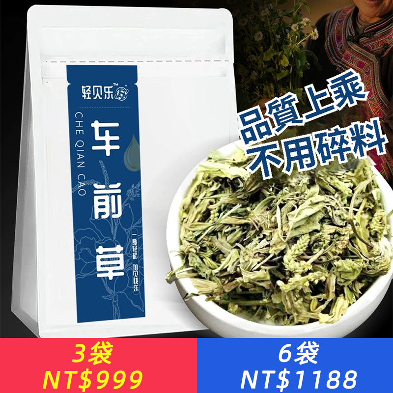車前草三角包車錢草泡水乾貨車前草茶水洗