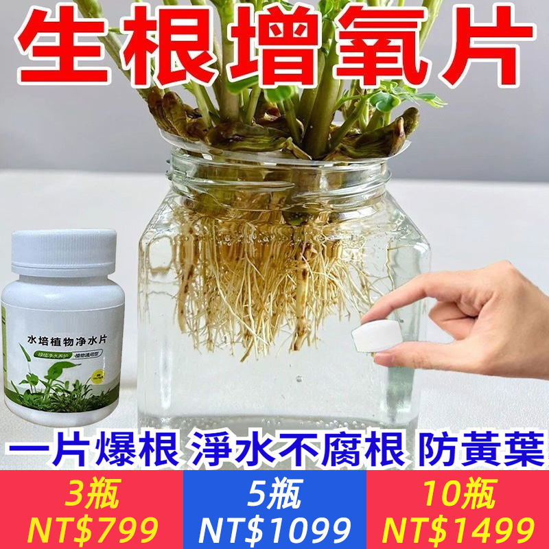 一錠淨水！增氧、防臭、促根！懶人植物救星-水培增氧片