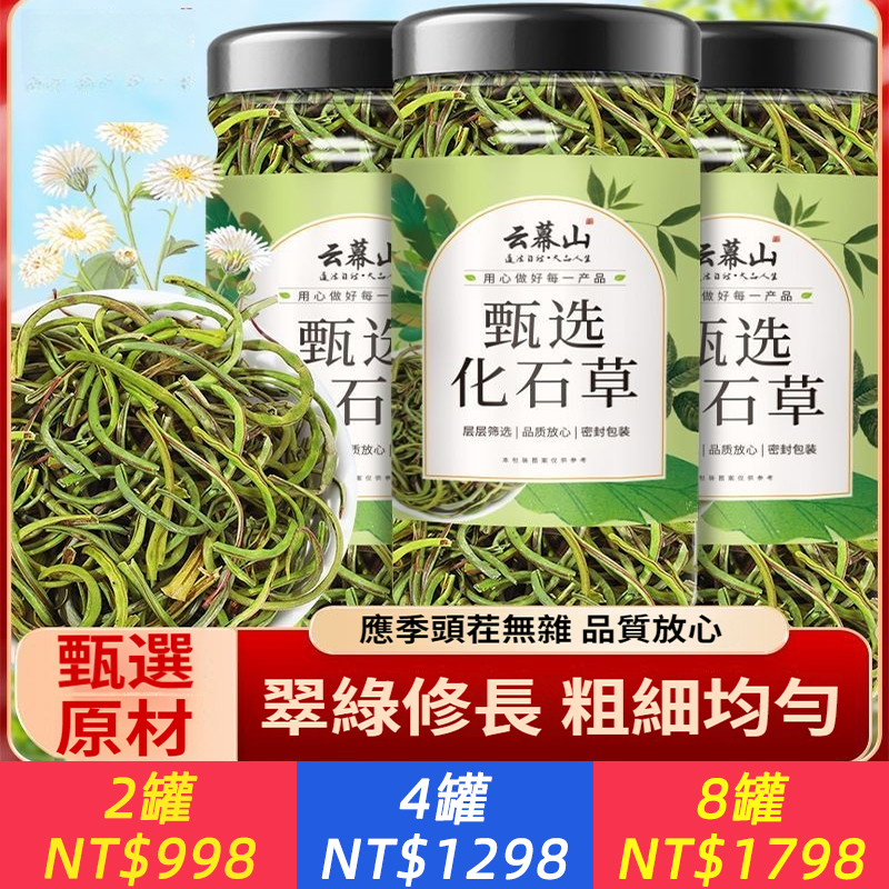 化石草罐裝正宗當季新採純小葉乾貨優質腎精草正品