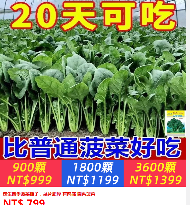 ①紅葉菠菜種子500粒+②四季速生香菜種子2000粒+③銅錢草種子240粒