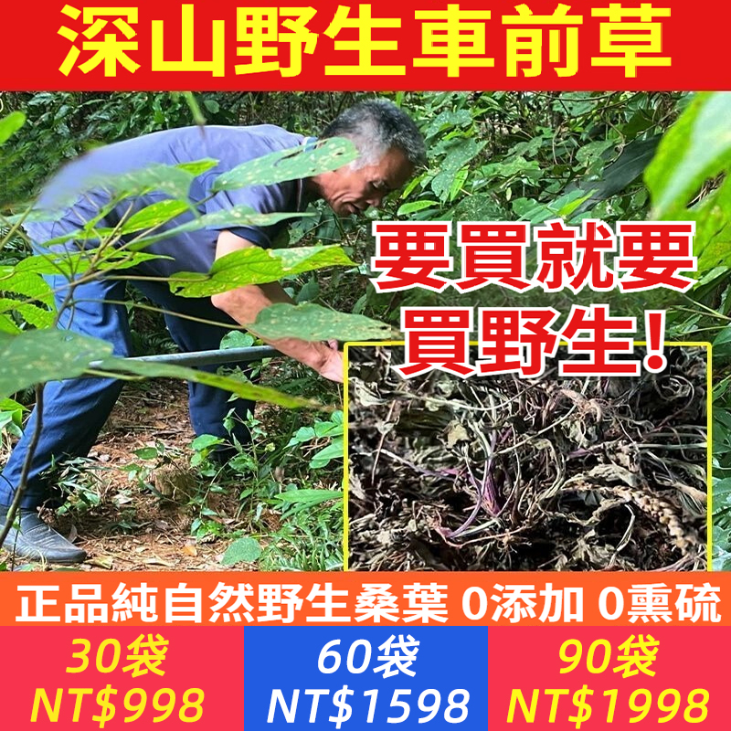 深山野生車前草真野生無硫熏野生帶穗