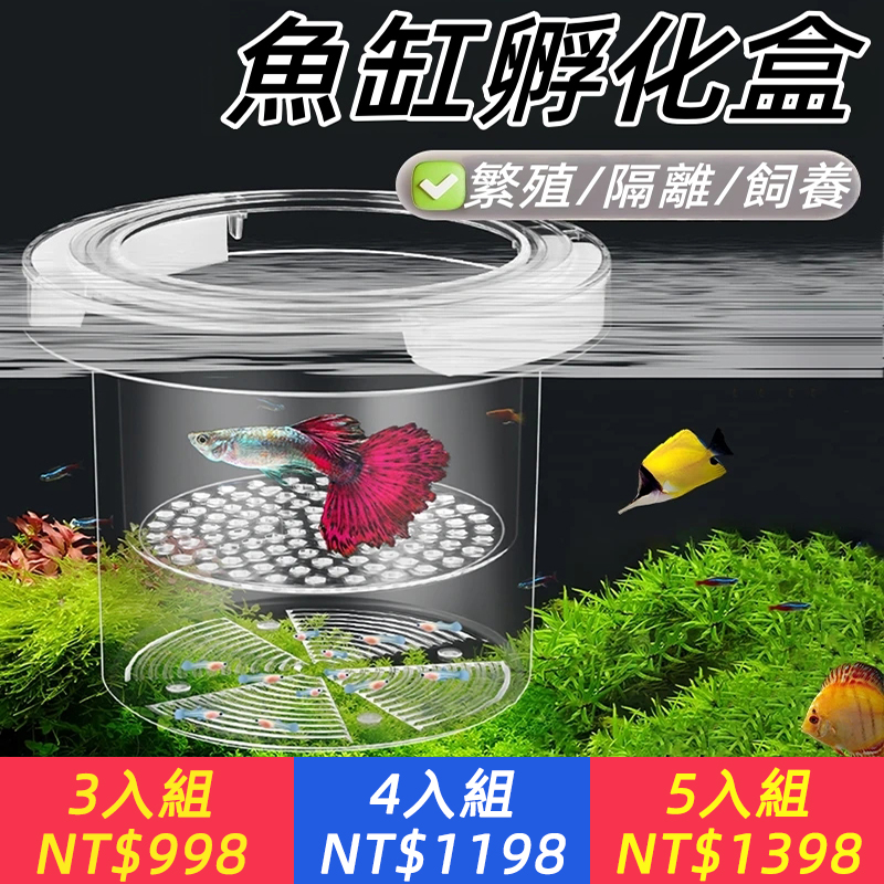 【保護幼魚】魚缸孔雀魚孵化繁殖隔離器小型魚繁殖器提高孵化存活率
