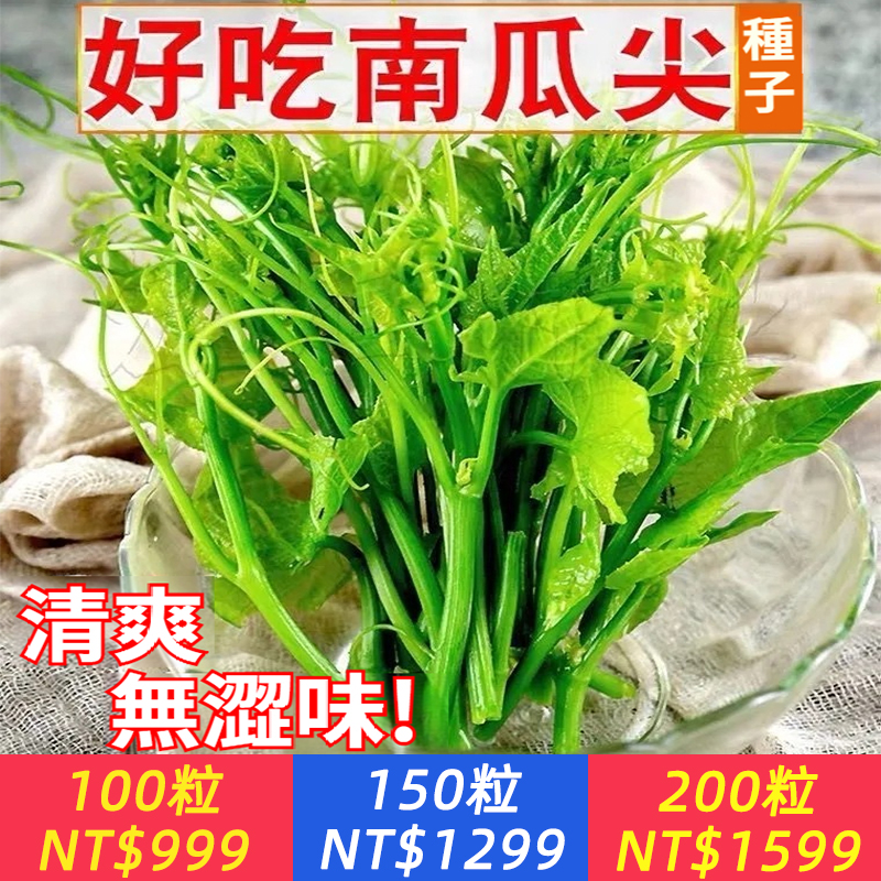 香嫩南瓜尖種子，種瓜不吃瓜，專吃莖葉的南瓜品種，香嫩清甜，脆爽無澀味，營養豐富，四季播種，生長迅速，最快可15天採收，產量高，多次採收，摘不完，房前屋後，陽台小院隨便種！