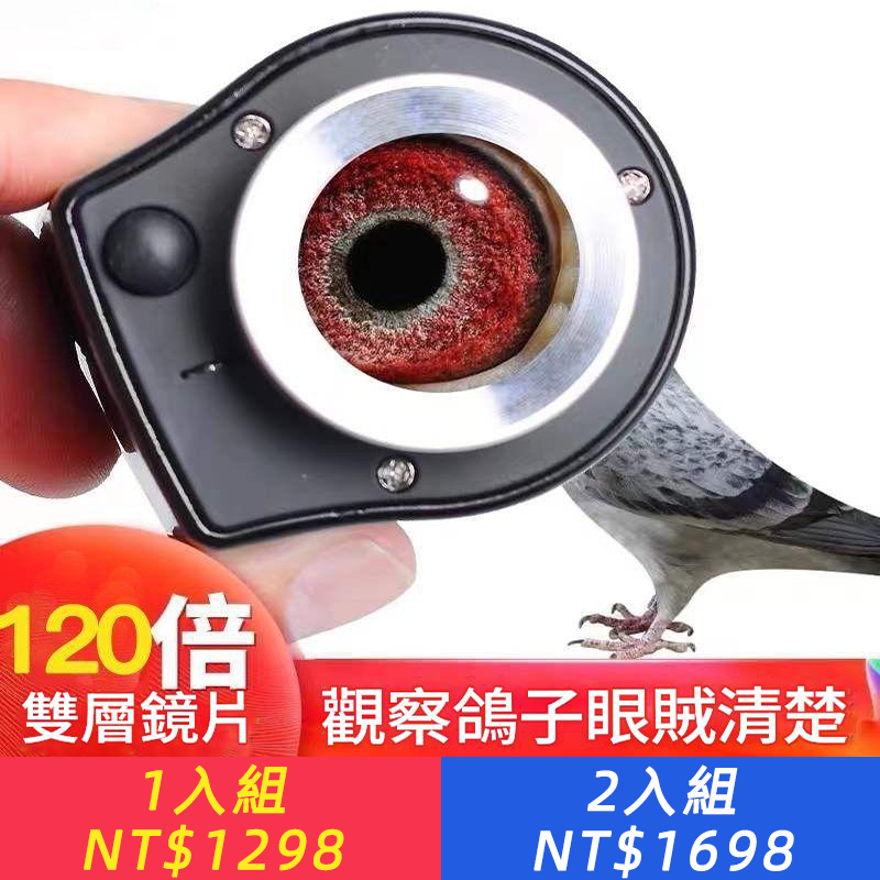 120倍高清鴿眼放大鏡帶LED燈全金屬高倍刻度鴿子顯微鏡