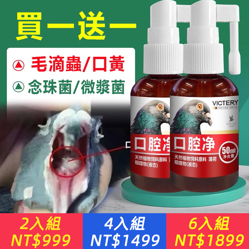 漢諾威口腔凈 清理毛滴蟲口黃上下呼吸道信鴿賽鴿專用口腔白點