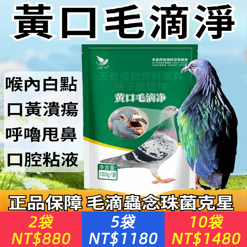 黃口毛滴凈鴿子毛滴球蟲呼吸道喉內白點拉稀專用賽鴿肉鴿信鴿鸚鵡