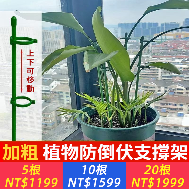 植物支撐桿固定防倒伏園藝支撐單桿室外月季爬藤繡球花